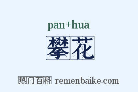 攀花是什么意思的图片